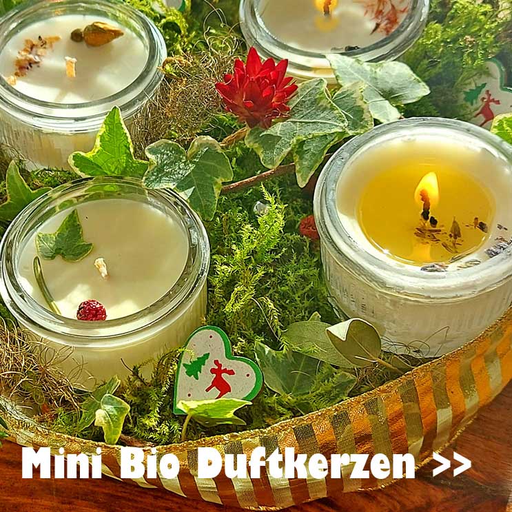 Sie suchen ein ganz besonderes Nikolausgeschenk?