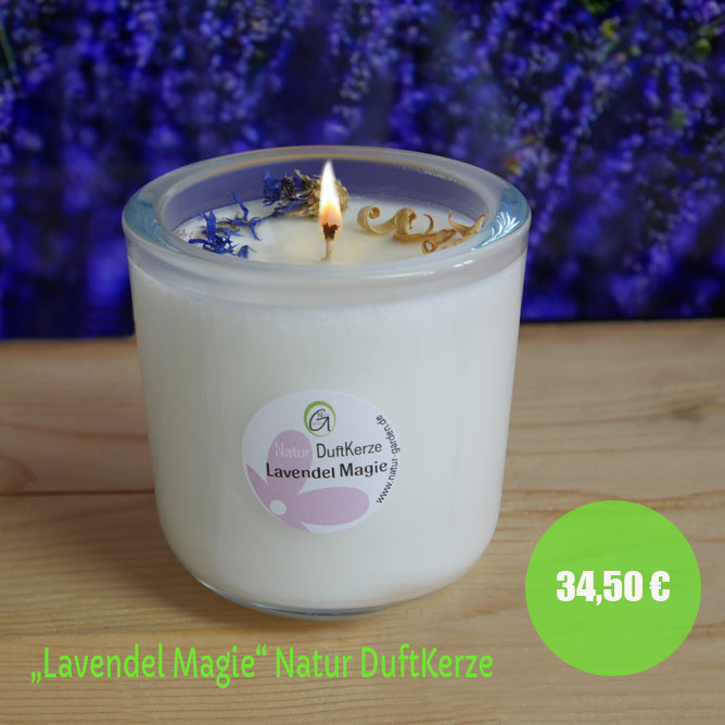 Das kräftige Lila der Lavendel-Blüten ist eine Wohltat für die Augen und der betörende Duft belebt den Geist und die Sele.