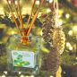 Bio Reed Diffuser Foresta Wohltuend frisch, entspannend und befreiend Natur-Garden