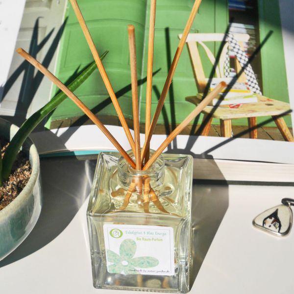 Bio Raum-Parfum Eukalyptus und Minz Energie